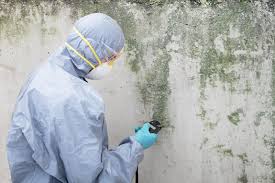 Best Mold Odor Removal Services  in Smethport, PA